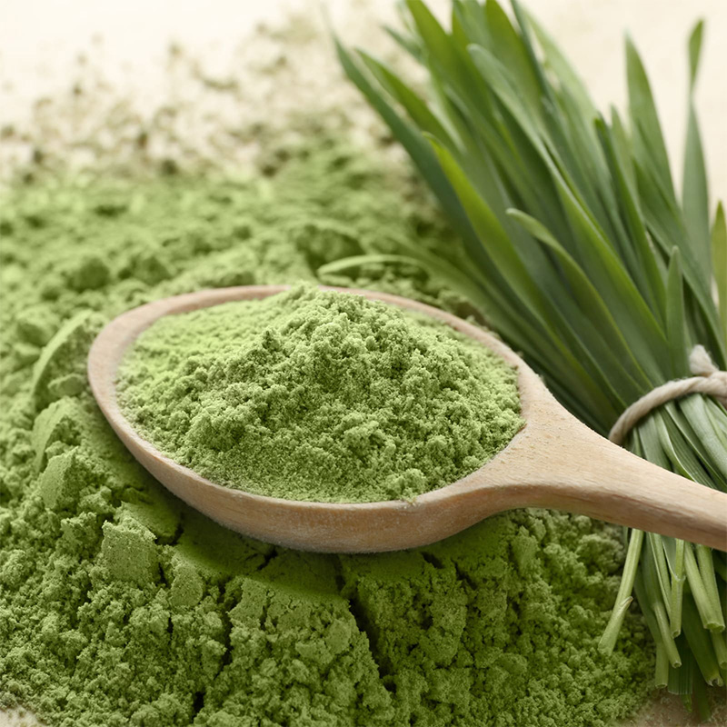 vom Achterhof BIO Gerstengras Kapseln 180 Kapseln - Image 4