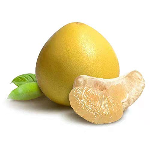 Limitierte SharePomelozzini®-Pralinen Box 20 Stück 170g fermentierte Pomelofrucht - Image 3