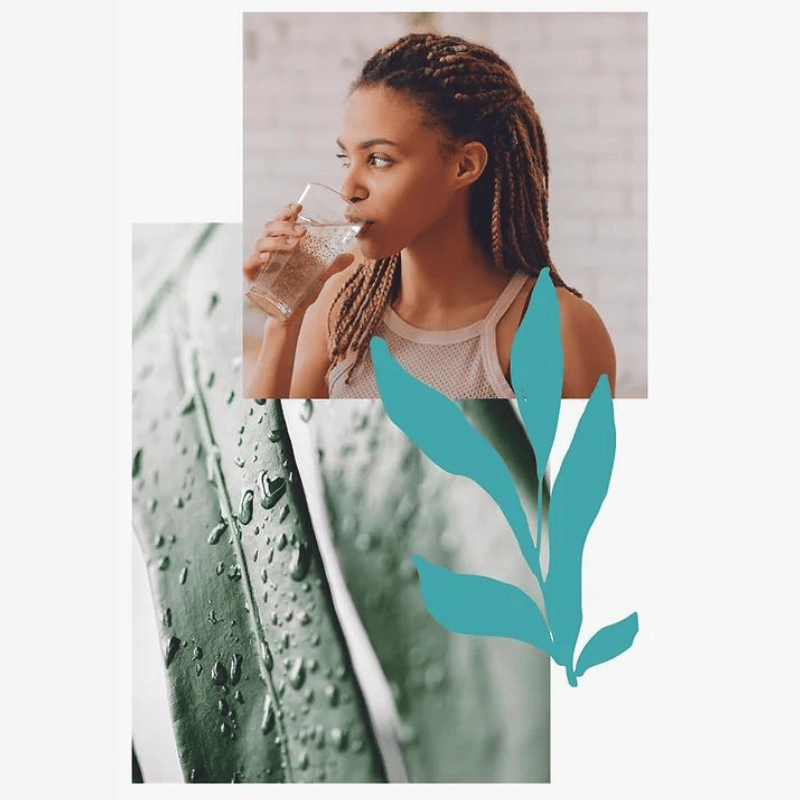 Rain Renu 60 Kapseln - Image 3