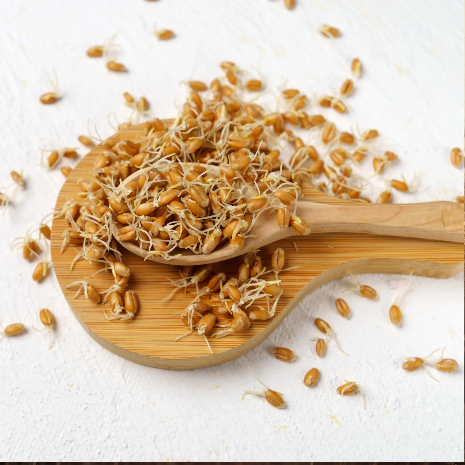 vom Achterhof BIO Spermidin aus Weizenkeimen 500g - Image 5